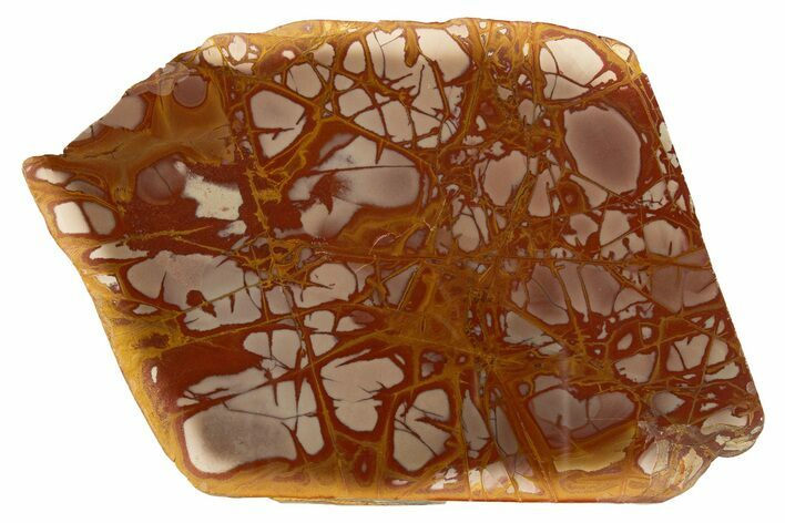 Polished Noreena Jasper Slab - Australia #314233